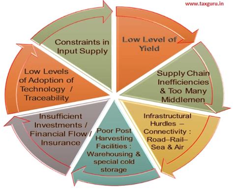 农资连锁经营与管理