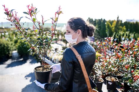 园林技术(园艺花卉栽培与营销方向)