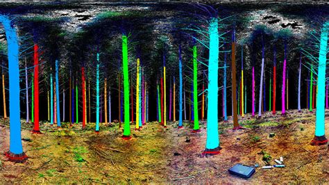 林业技术(生态工程规划与设计方向)