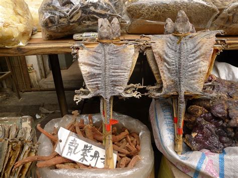 中药(生产与加工)