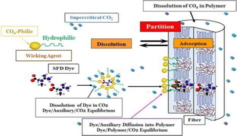 生态染整技术专业