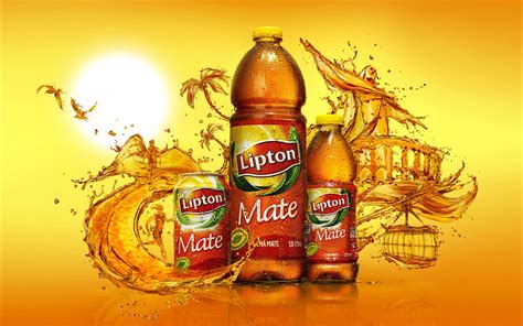 工艺美术(广告包装设计)