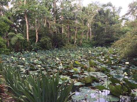 观光农业经营（旅游服务）