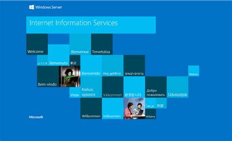 软件与信息服务