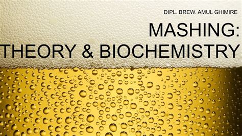 生物化工(啤酒酿造方向)