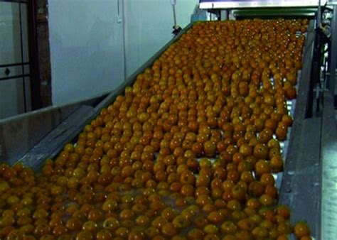 果蔬花卉生产技术(蔬菜方向)