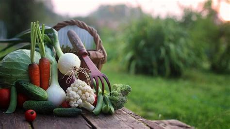 果蔬花卉生产技术
