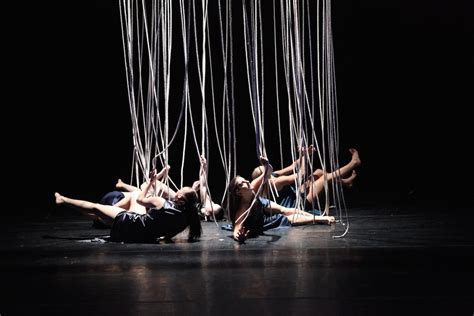 表演艺术(舞蹈方向)