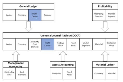 会计与统计核算
