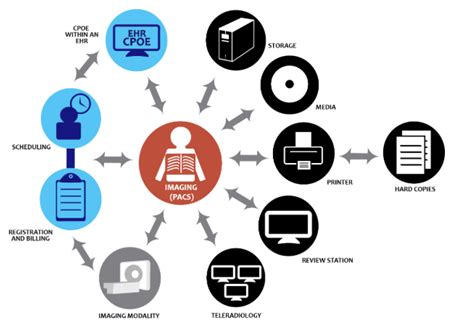 电子信息科学与技术