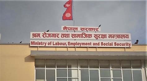 劳动与社会保障