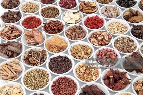 中草药栽培与鉴定