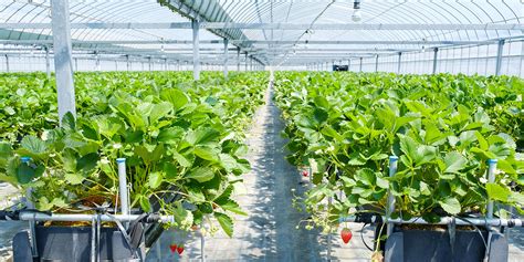 设施农业科学与工程