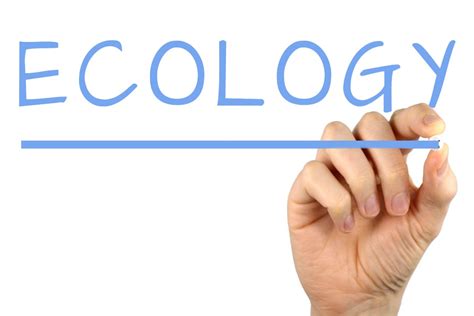 生态学
