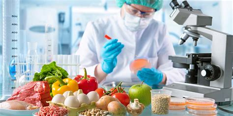 食品科学与工程