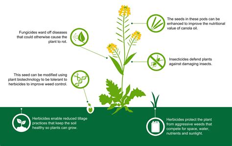 植物科学与技术