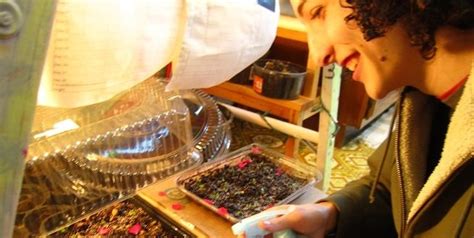 种子科学与工程