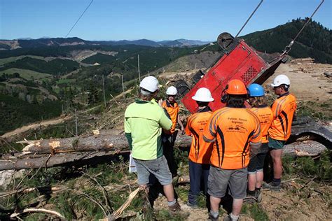 林业信息工程与管理