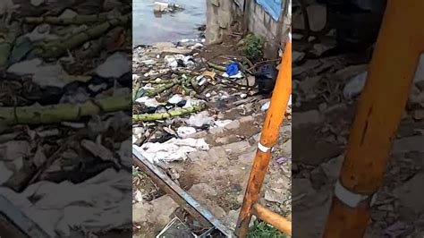 野生植物资源开发与利用