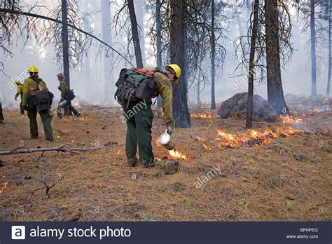 森林防火指挥与通讯