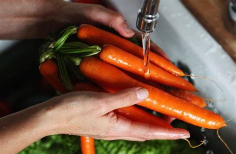 营养与食品卫生