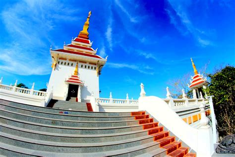 古玩艺术品投资管理