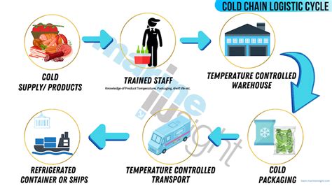 冷链物流技术与管理