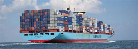 国际航运业务管理