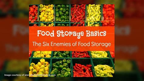 食品贮运与营销