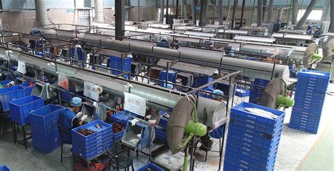 玩具设计与制造