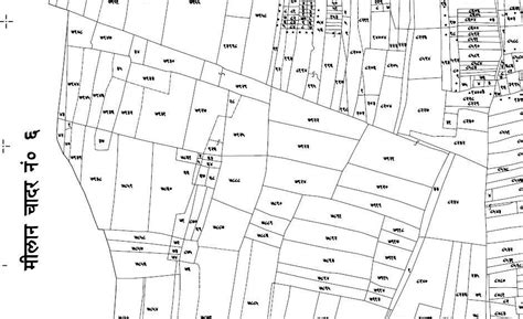 地籍测绘与土地管理信息技术