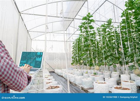 农产品质量检测