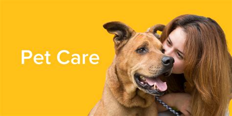 宠物养护与疫病防治