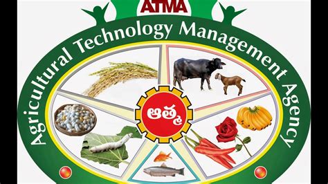 农业技术与管理