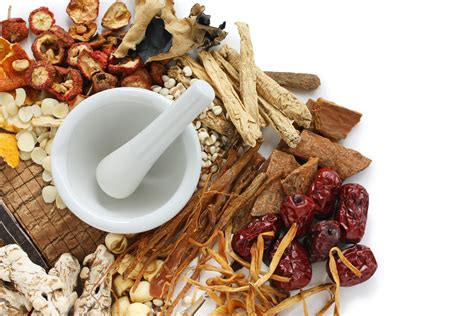 中草药栽培技术