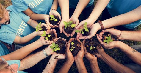 社区管理与服务