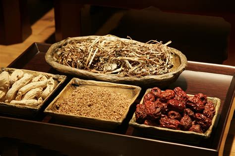 中药制药技术