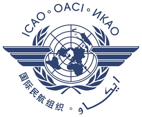 民航商务