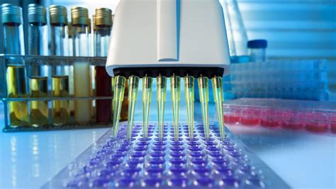 生物技术及应用