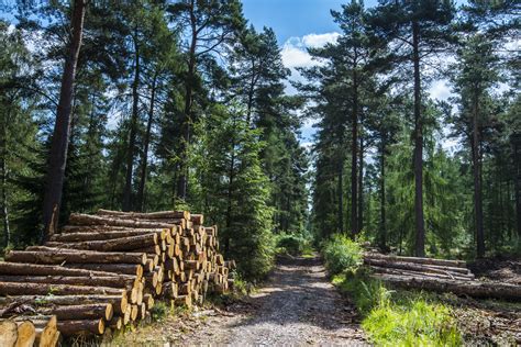 林业信息工程与管理