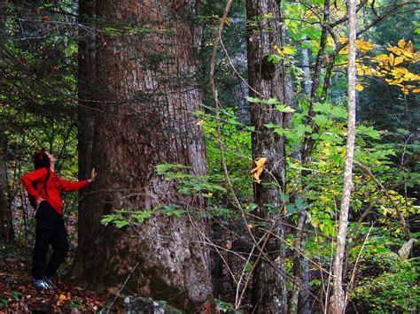 景区开发与管理