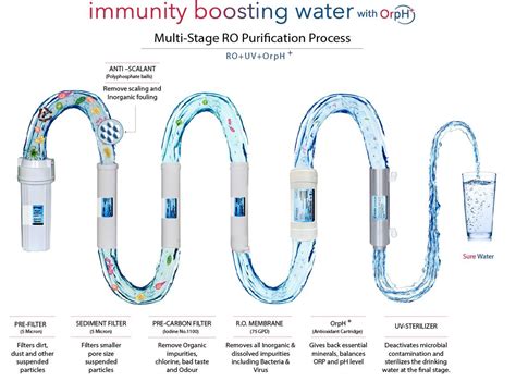 城市水净化技术