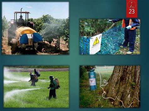 植物病虫害防控