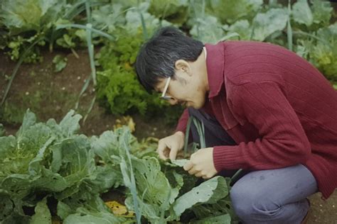植物保护