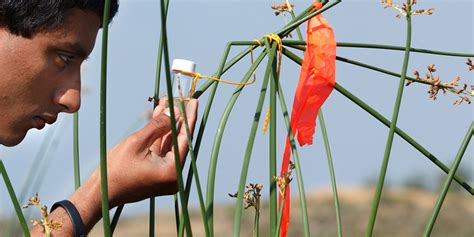 生物教育