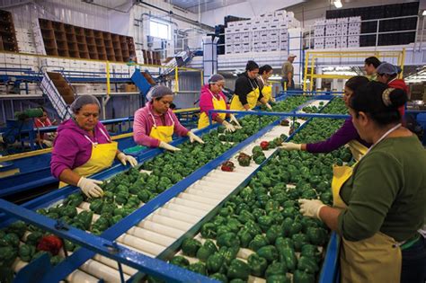 农畜特产品加工