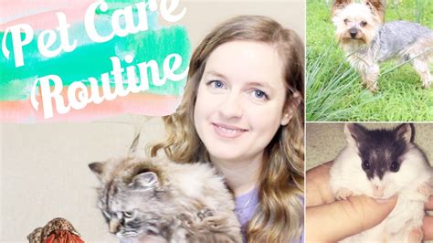 宠物养护与训导