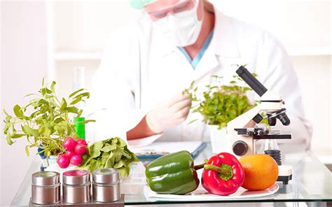 食品营养与检测