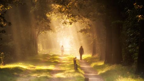 影视照明技术与艺术