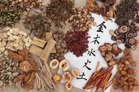中草药种植